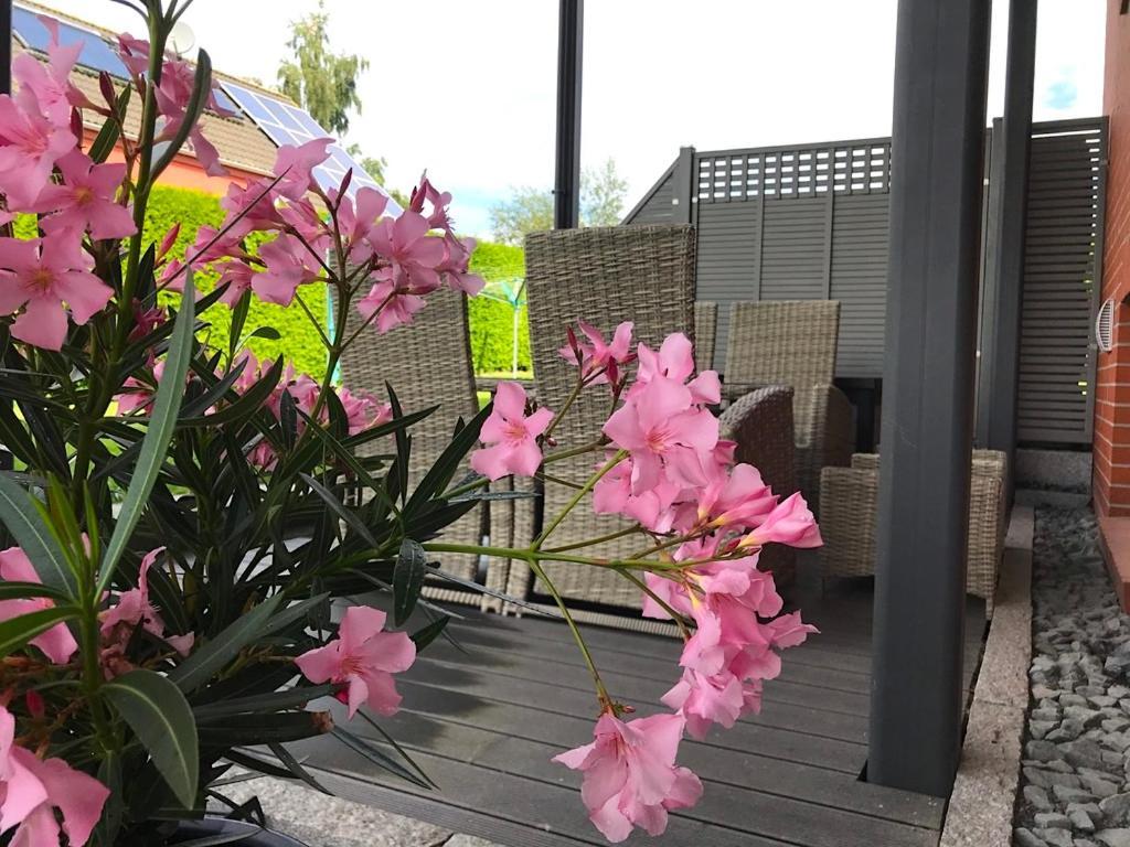 ゼーバート・ヘリングスドルフHaus Im Gruenenアパートメント エクステリア 写真